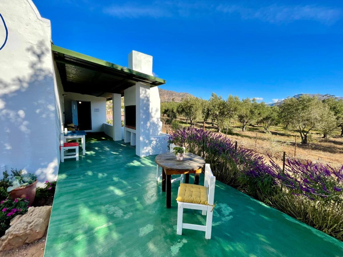 Maison d'hôtes Blue Cow Barn - Boutique Farm à Barrydale Extérieur photo