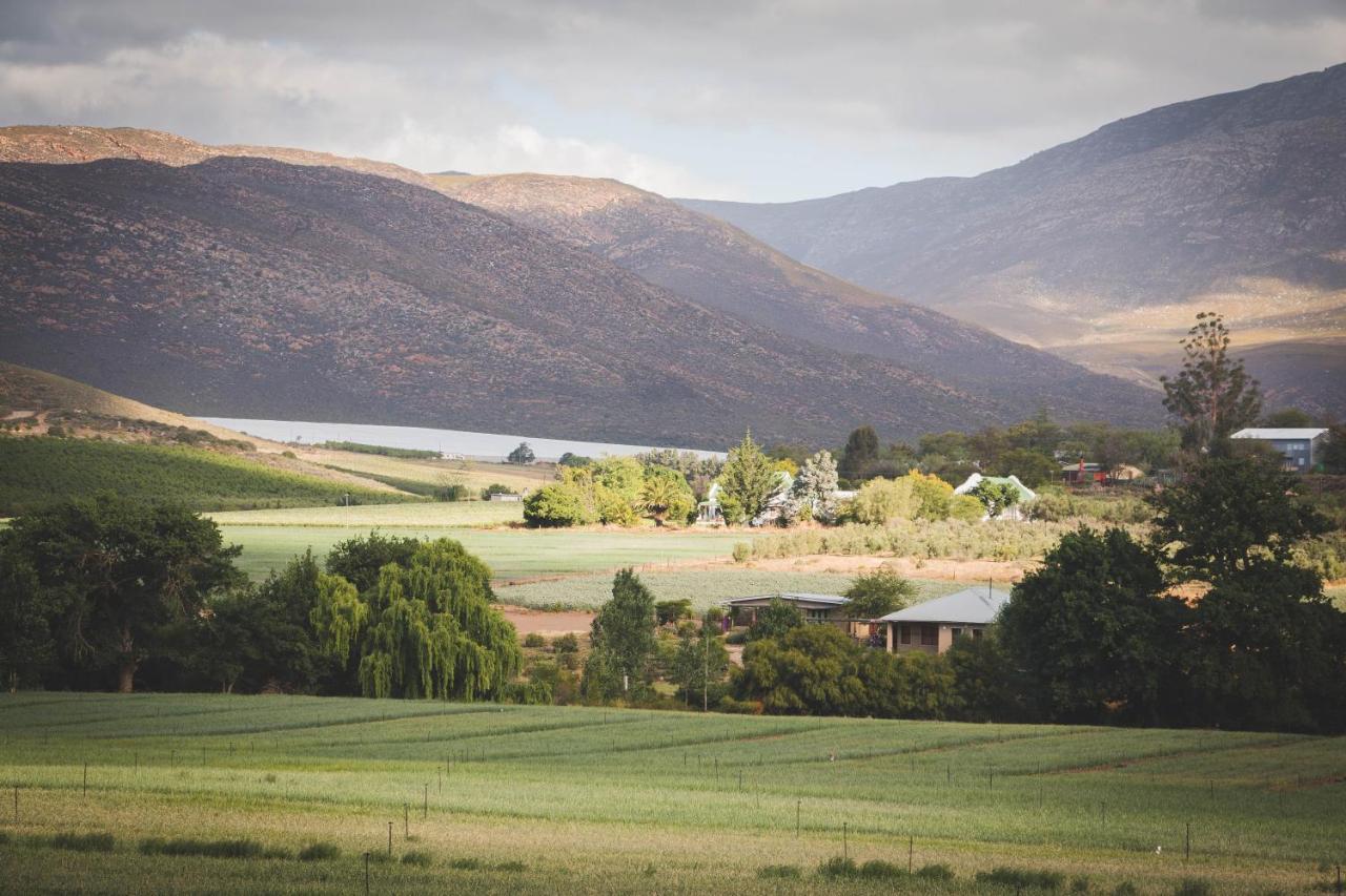 Maison d'hôtes Blue Cow Barn - Boutique Farm à Barrydale Extérieur photo