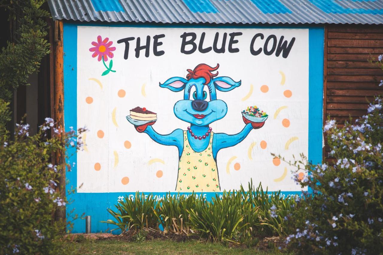 Maison d'hôtes Blue Cow Barn - Boutique Farm à Barrydale Extérieur photo